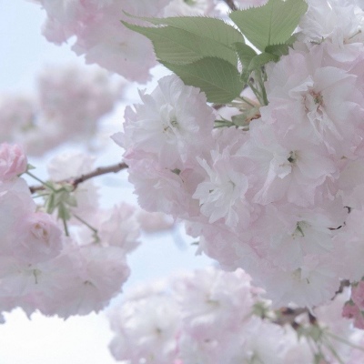 Furry色彩搭配实用技巧福瑞交流群